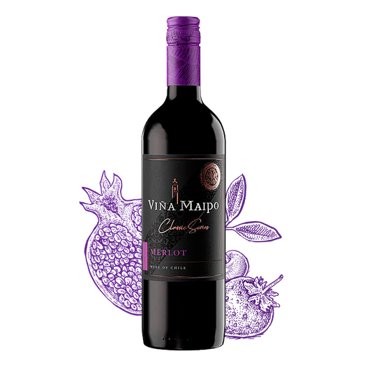 Merlot Viña Maipo Vino Chileno